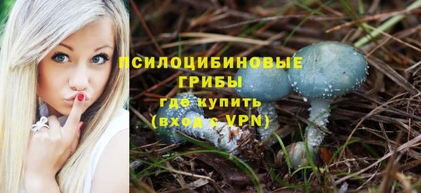 сатива Горняк