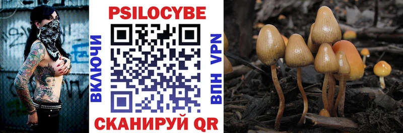 Псилоцибиновые грибы GOLDEN TEACHER  где найти   Гусев 